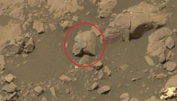 Египетская статуя?  На Марсе нашли таинственный камень