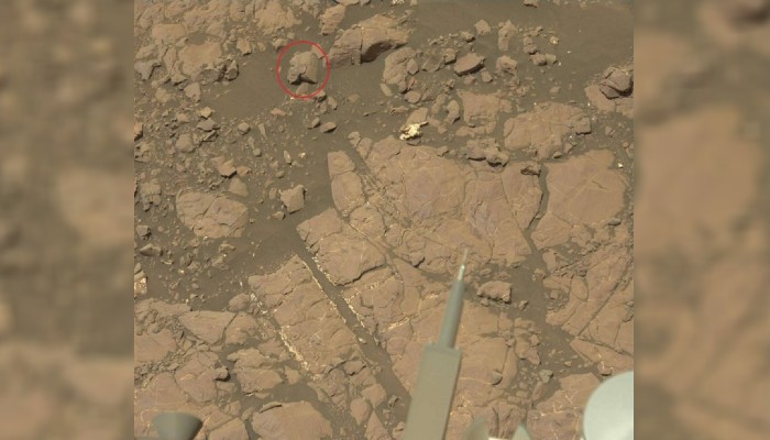 Египетская статуя?  На Марсе нашли таинственный камень